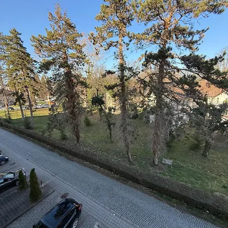 Jelena Banja Koviljača